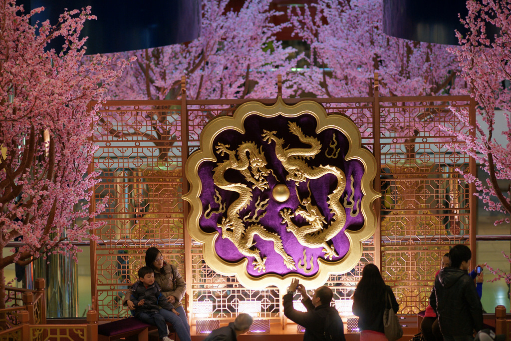 DSC08262-1.JPG