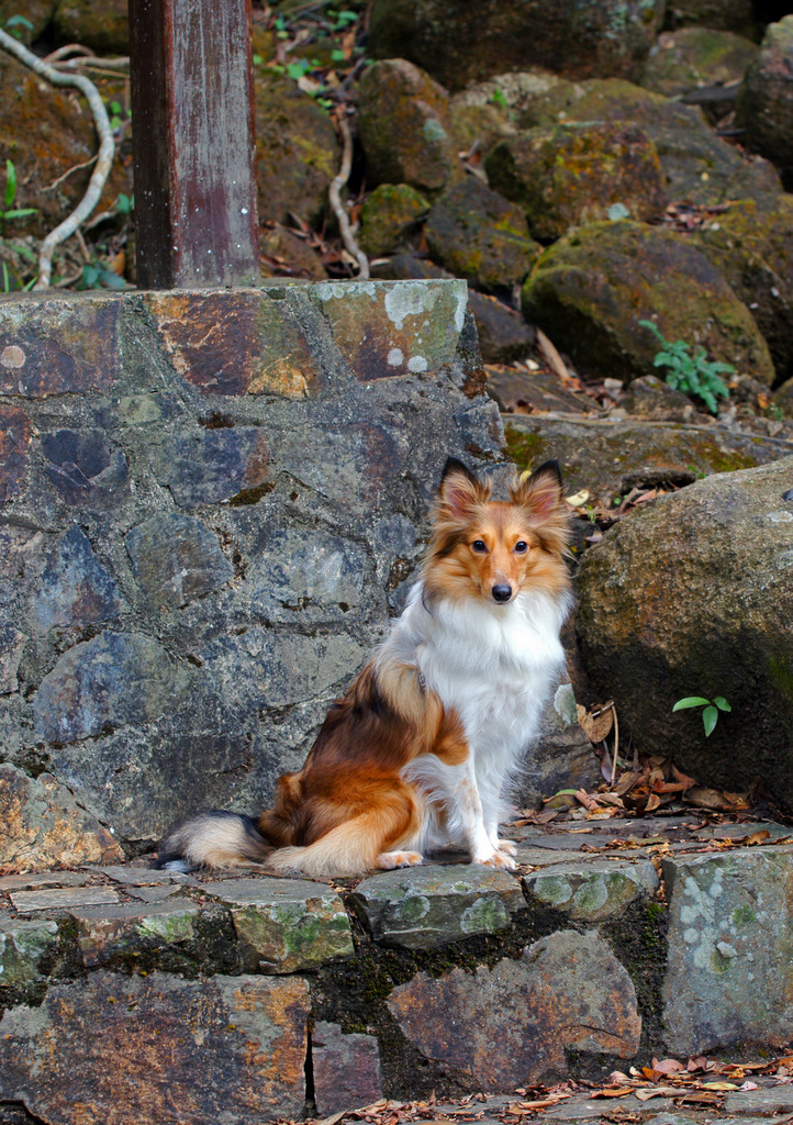 DSC08388ct-2.jpg