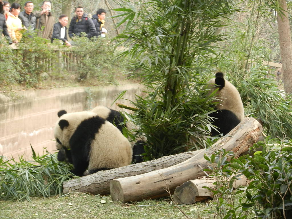 DSCN4028.JPG