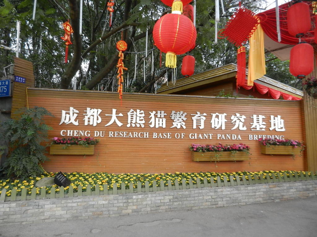 DSCN4082.JPG