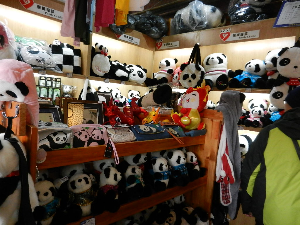 DSCN4067.JPG