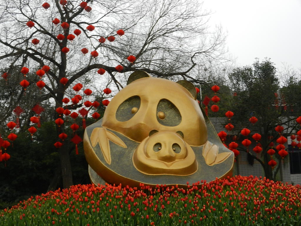 DSCN4071.JPG