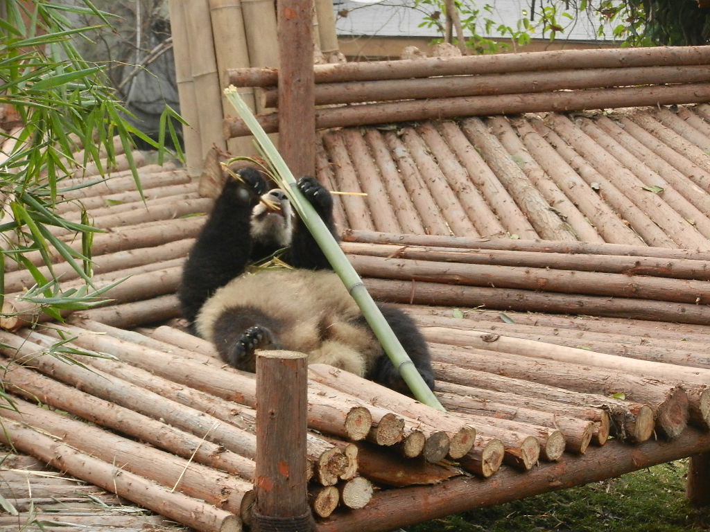 DSCN4036.JPG