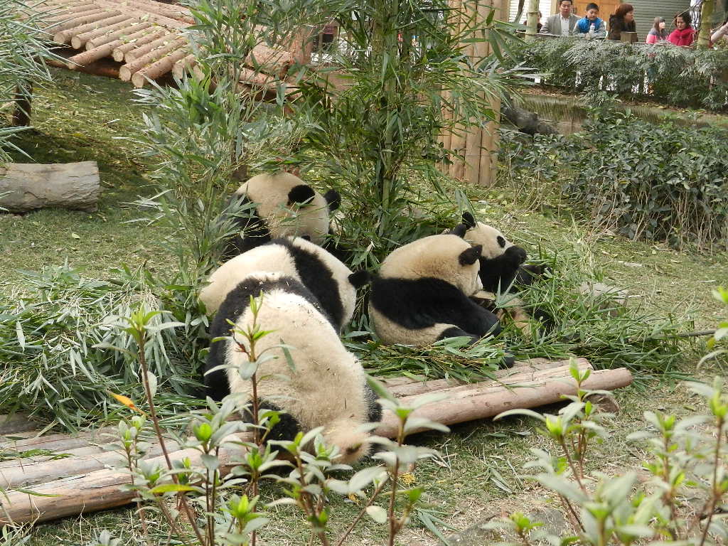 DSCN4037.JPG