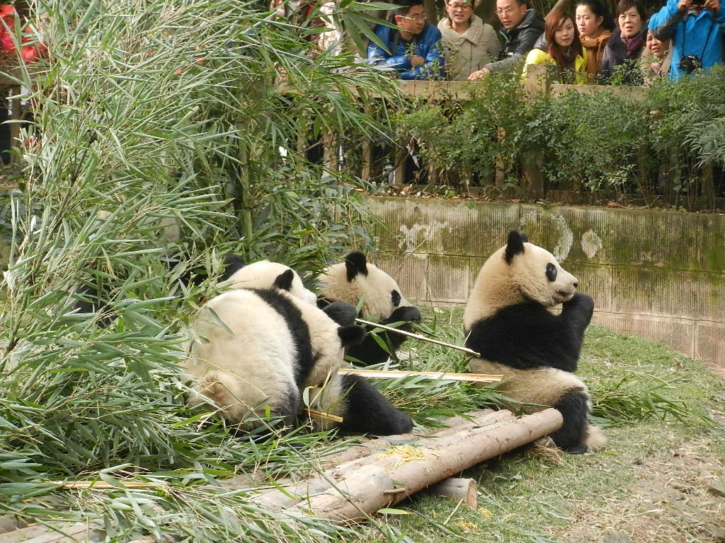 DSCN4039.JPG