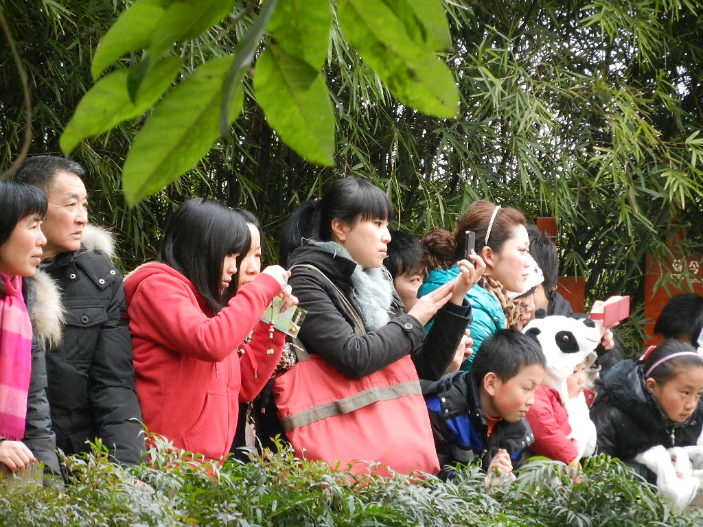 DSCN4051.JPG