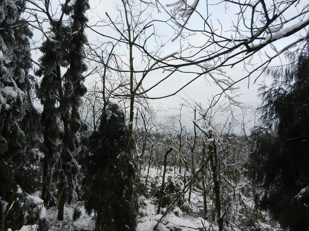 DSCN4943.JPG