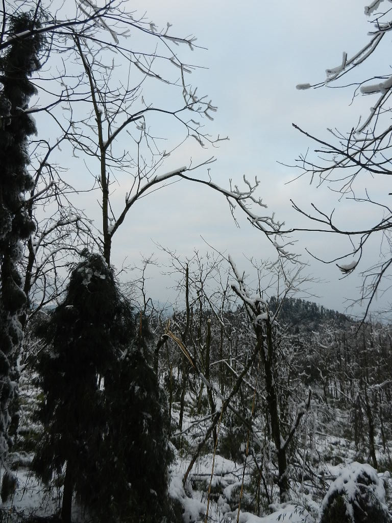 DSCN4945.JPG