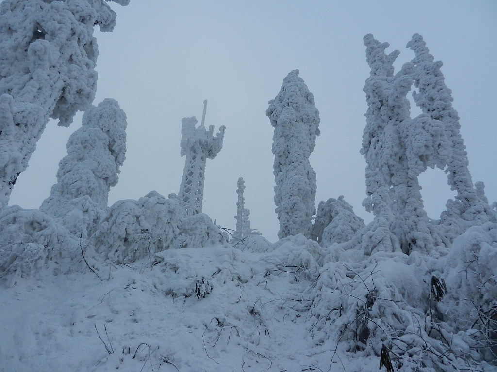 DSCN4967.JPG