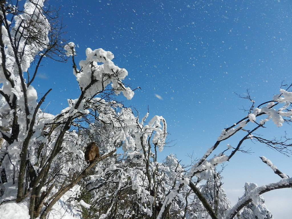DSCN5125.JPG