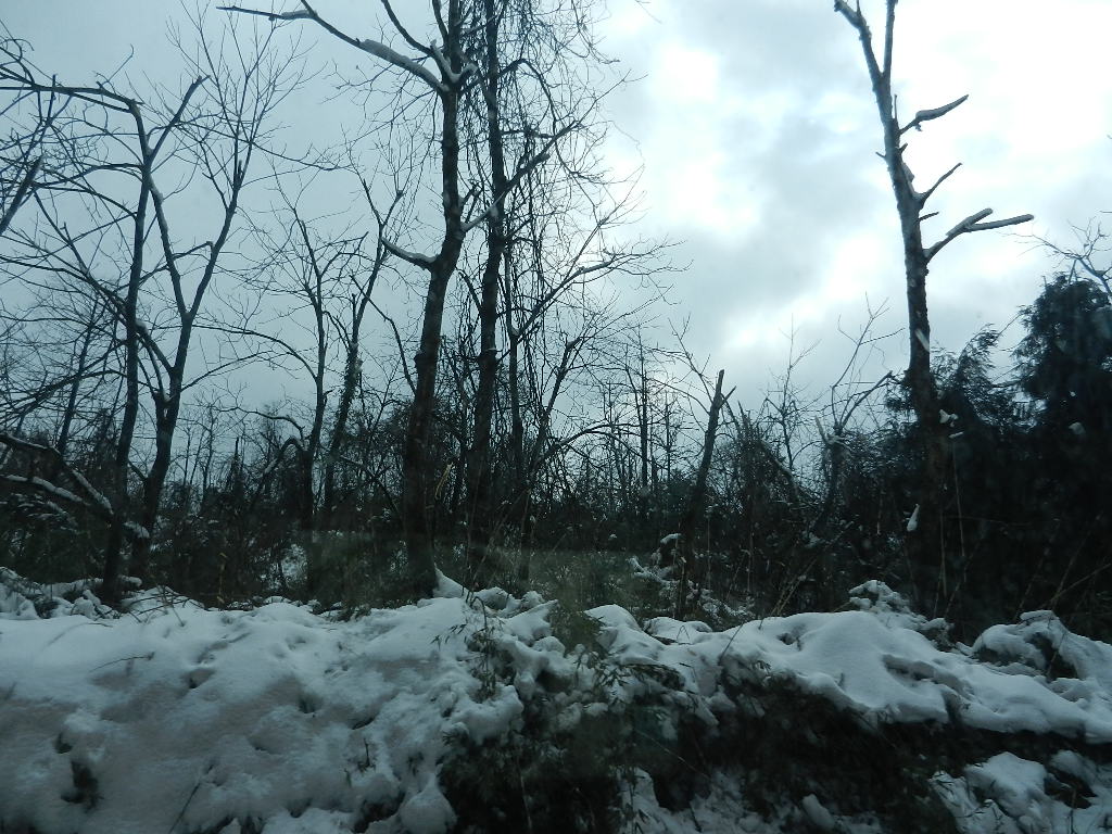 DSCN5229.JPG