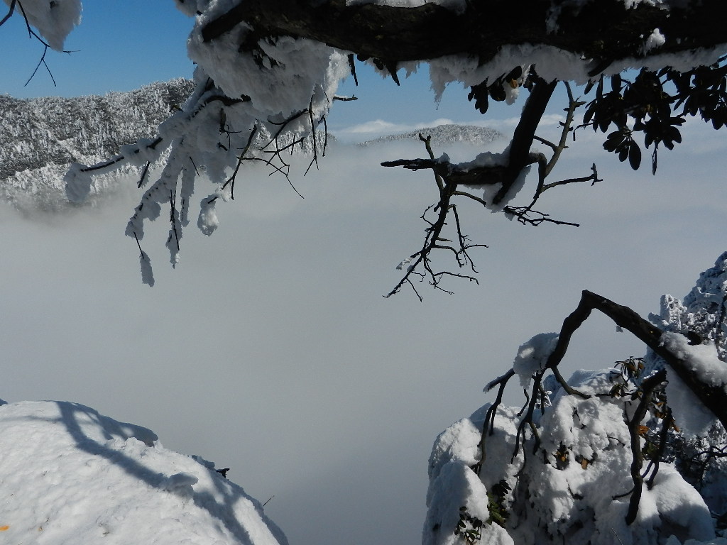 DSCN5139.JPG