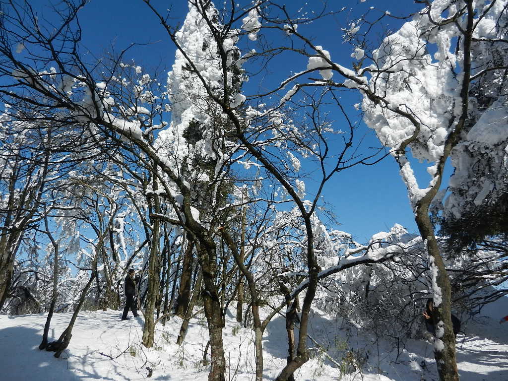 DSCN5143.JPG
