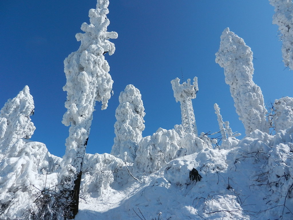 DSCN5156.JPG