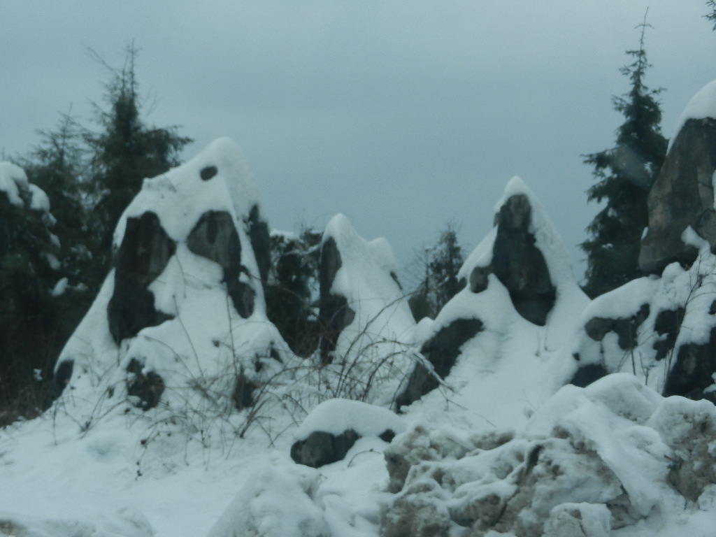 DSCN5223.JPG