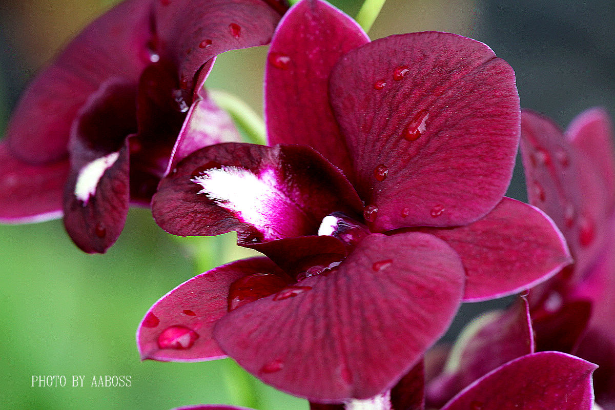 IMG_9481m.jpg