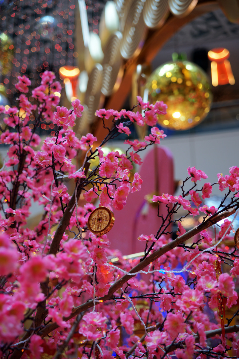 DSC08453.JPG