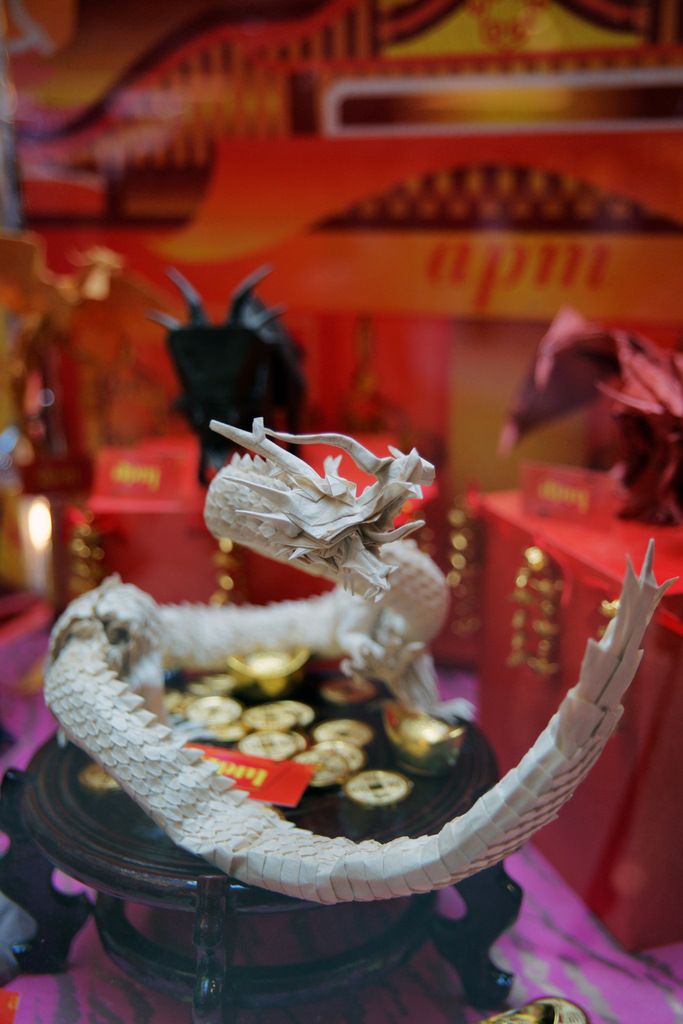 DSC08481.JPG