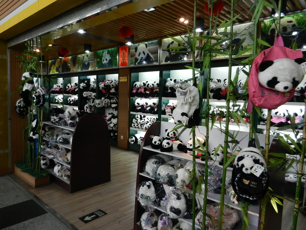 DSCN5358.JPG