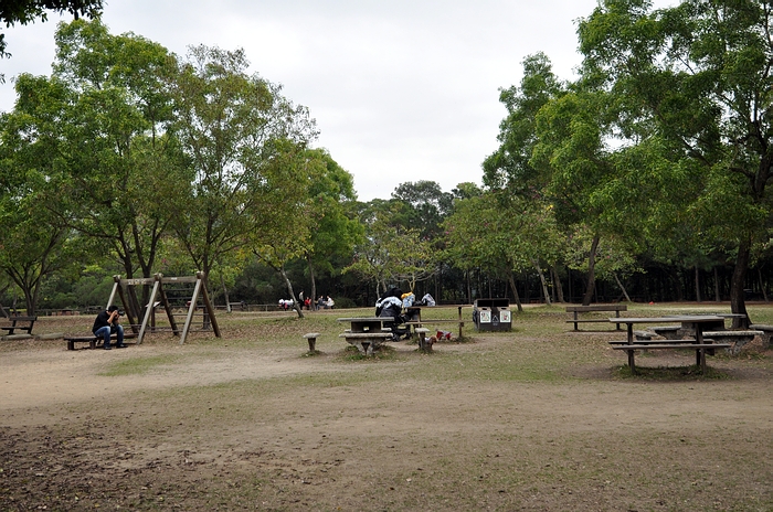 DSC_0961.JPG