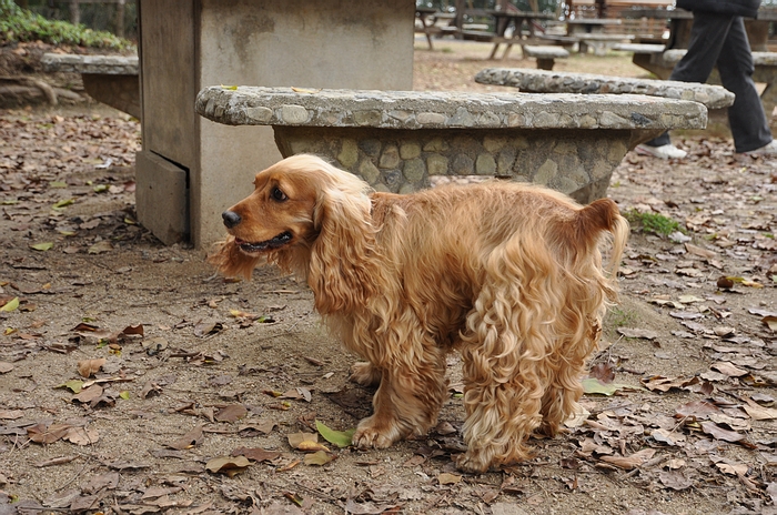 DSC_0958.JPG