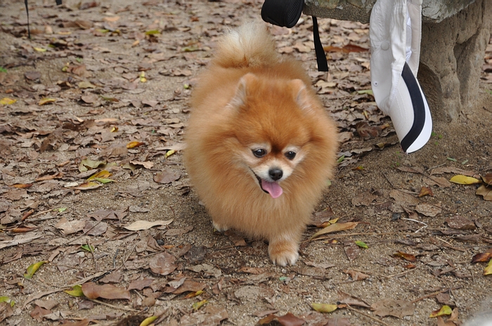 DSC_0962.JPG