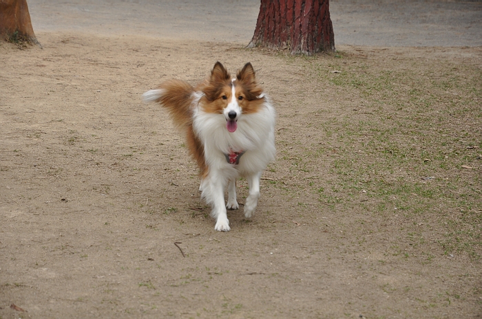 DSC_0989.JPG