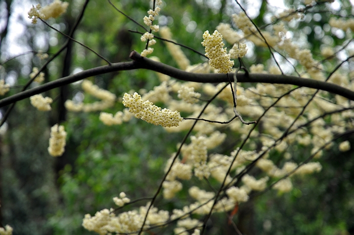 DSC_0063.JPG