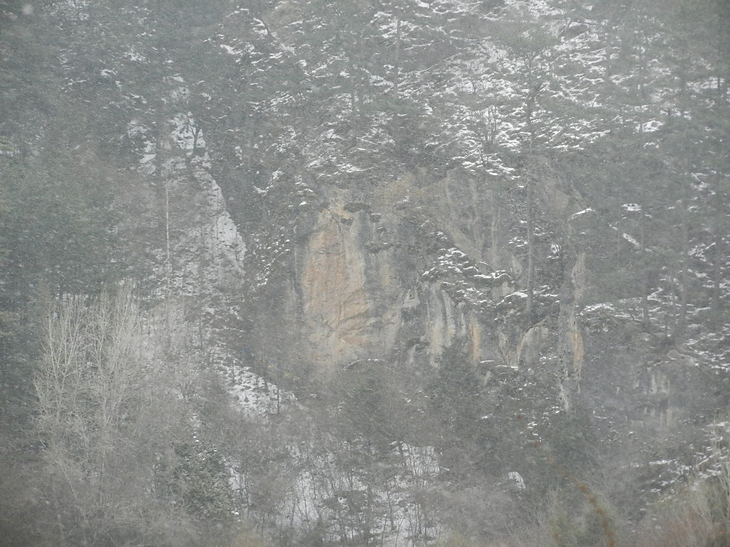 DSCN4491.JPG