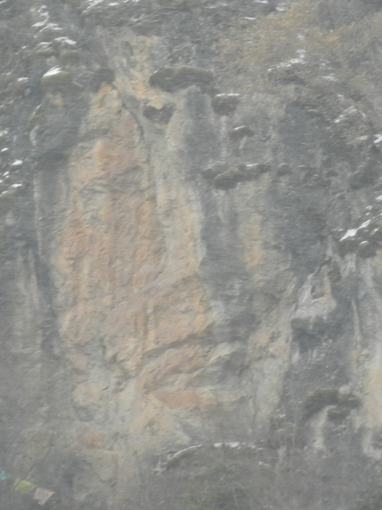 RSCN5369.JPG