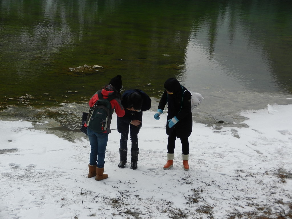 DSCN4563.JPG