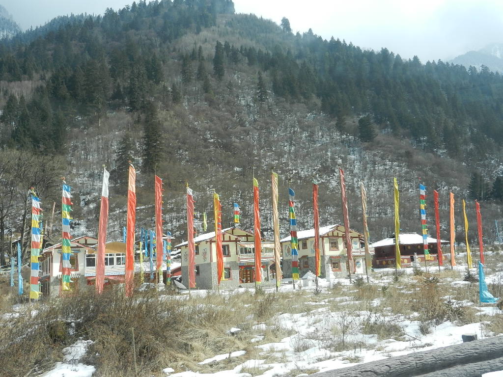 DSCN4619.JPG