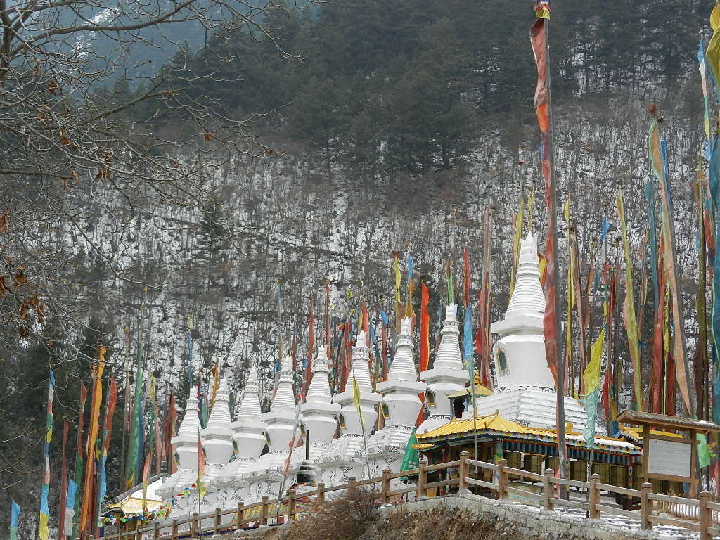DSCN4432.JPG
