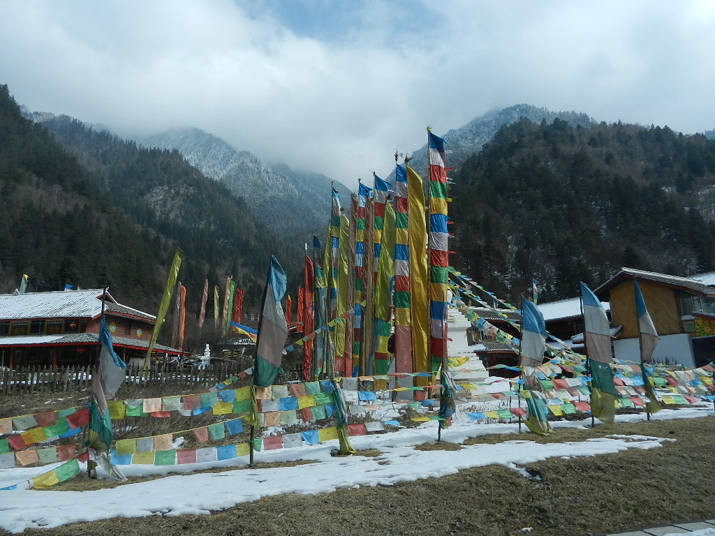 DSCN4607.JPG