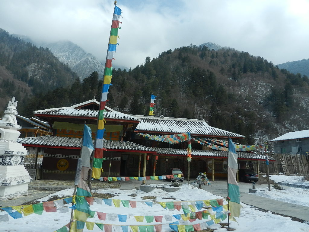 DSCN4610.JPG