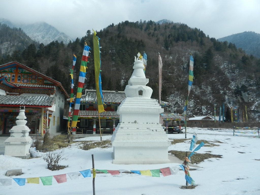 DSCN4611.JPG