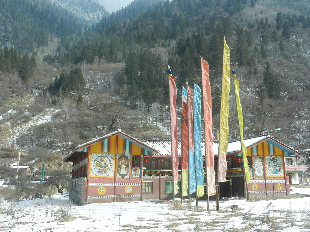 DSCN4618.JPG