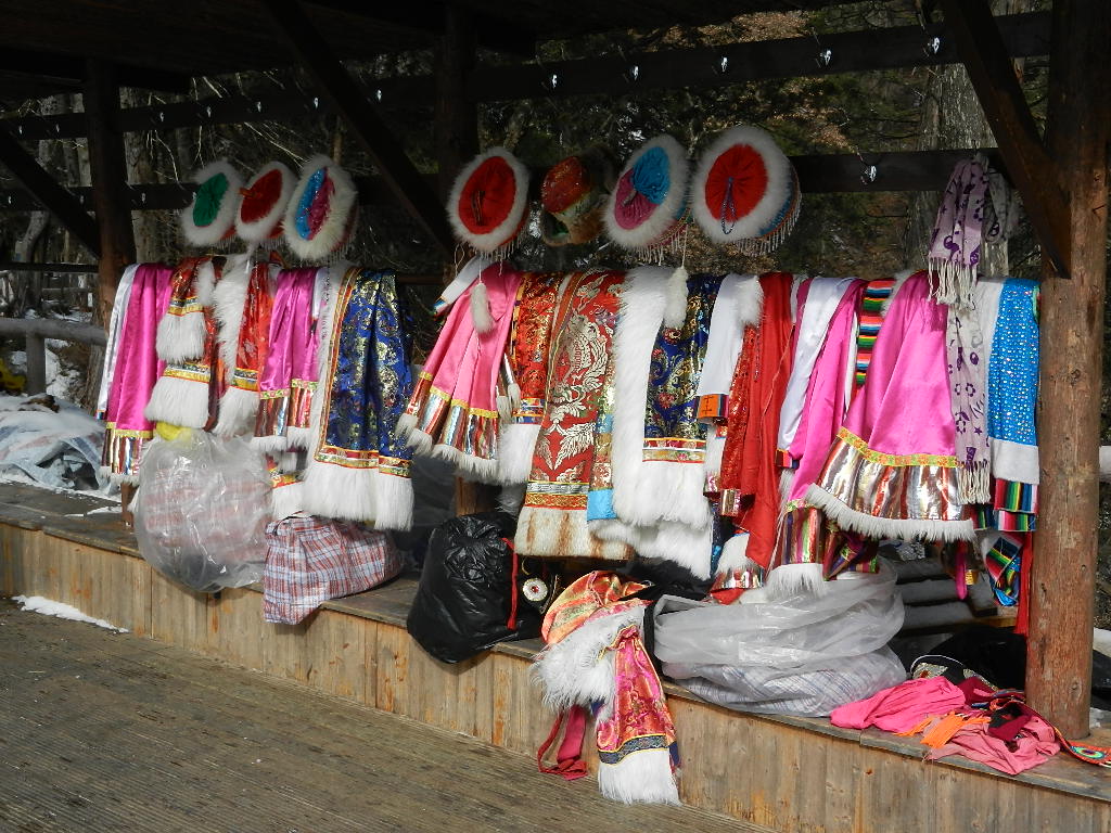 DSCN4583.JPG