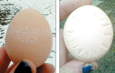 左側的雞蛋上有雪花的花紋，右邊的雞蛋上的花紋看起來像是個發光的太陽