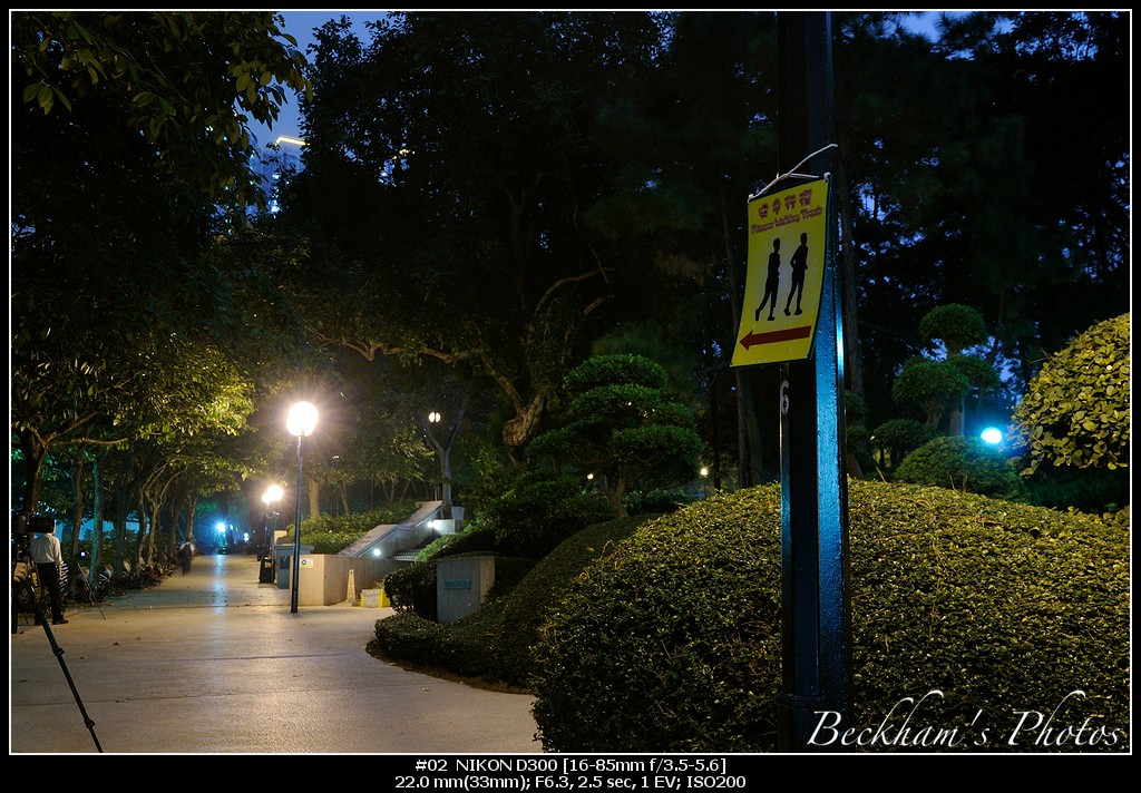 Park@Nightr-02.jpg