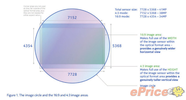 tunacat_3_102_7bad1eadc4a503a9eb5864f66face559.jpg