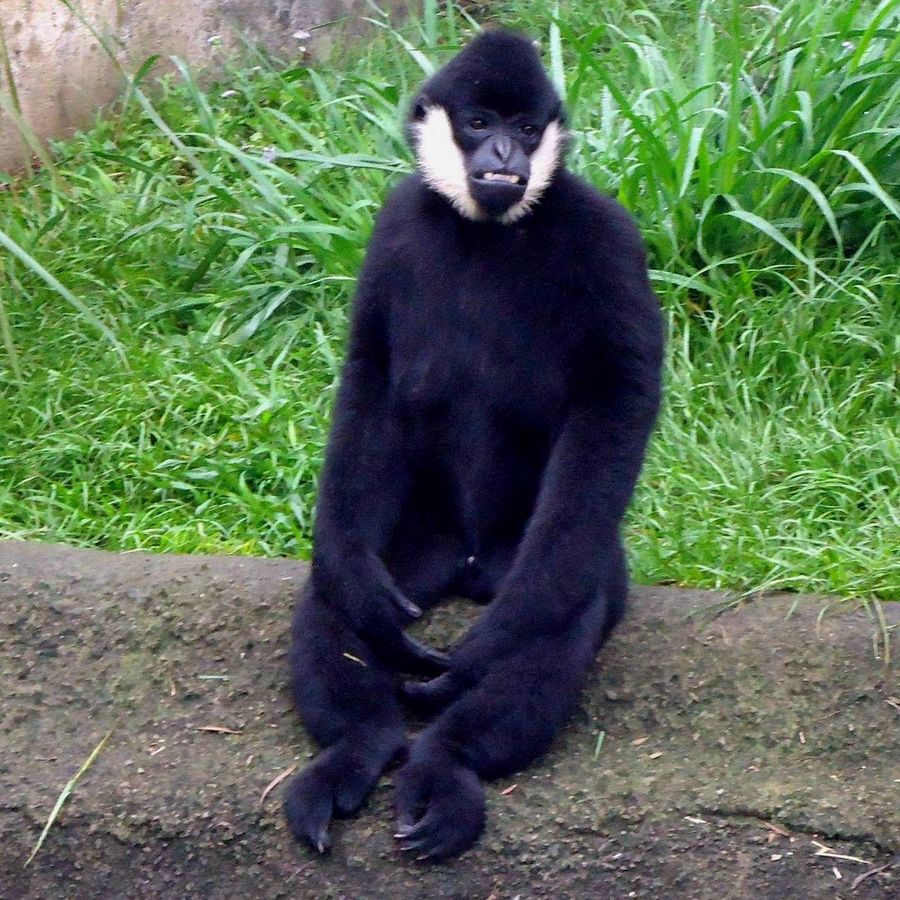 DSC00135.JPG
