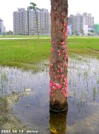 images2.jpg