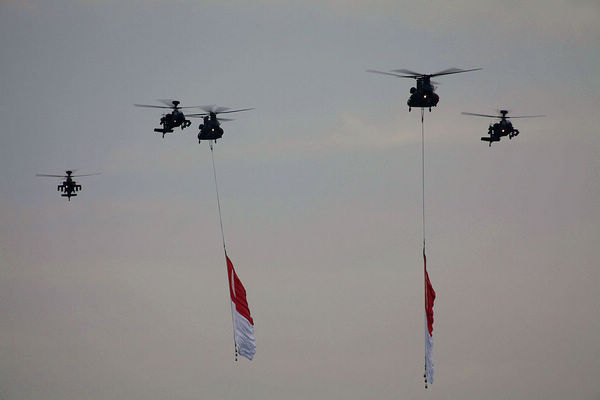 flying helicopter2.jpg