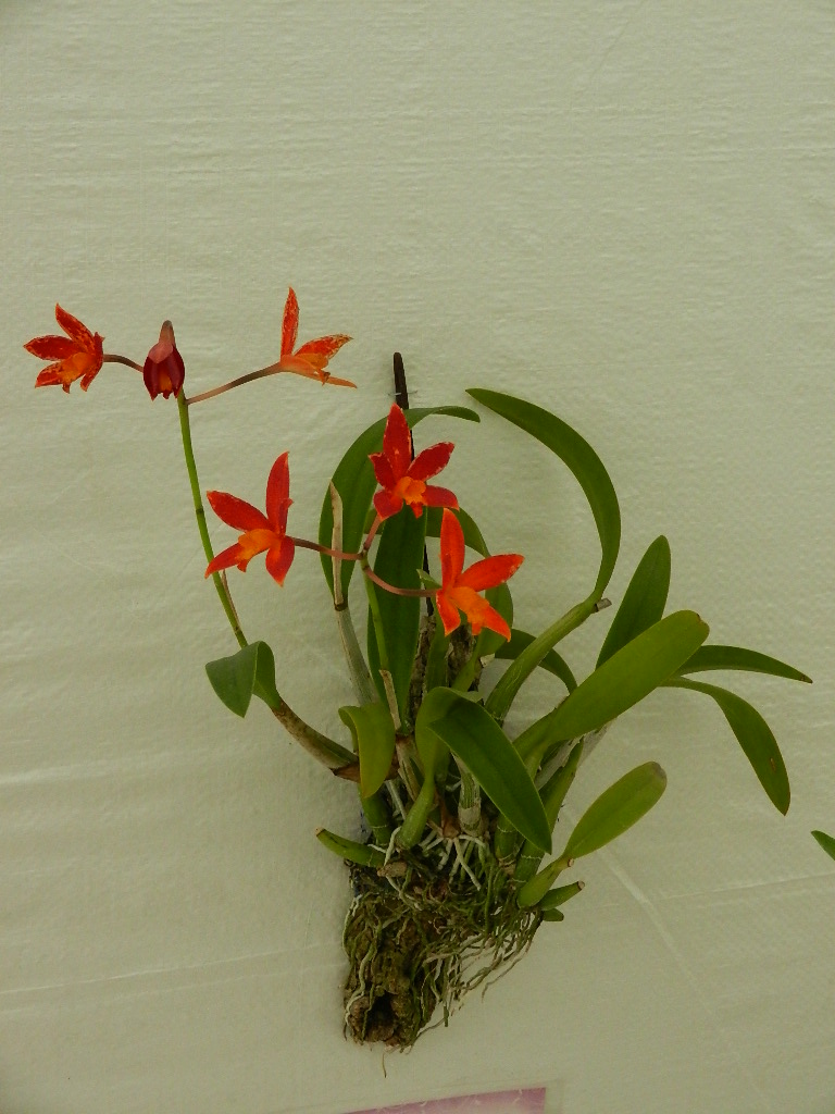 DSCN5668.JPG