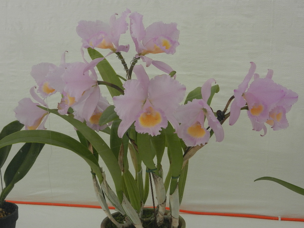 DSCN5669.JPG