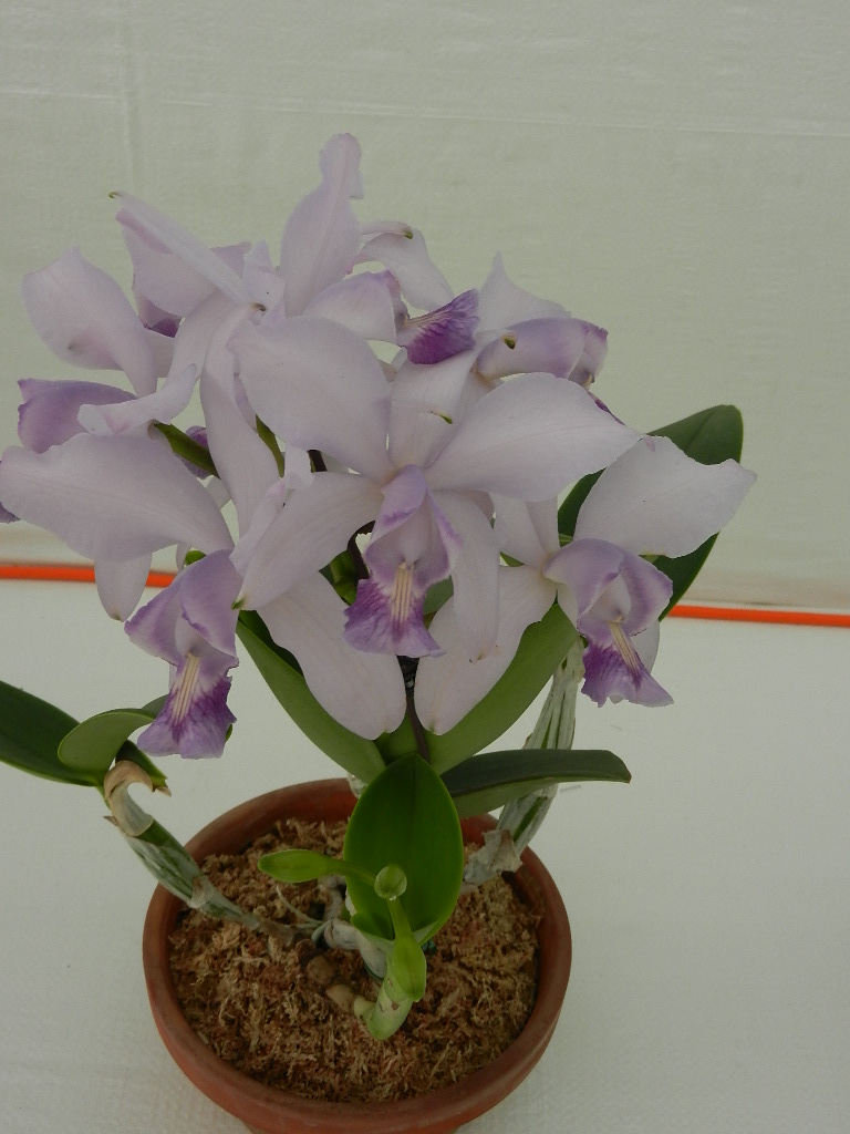 DSCN5670.JPG