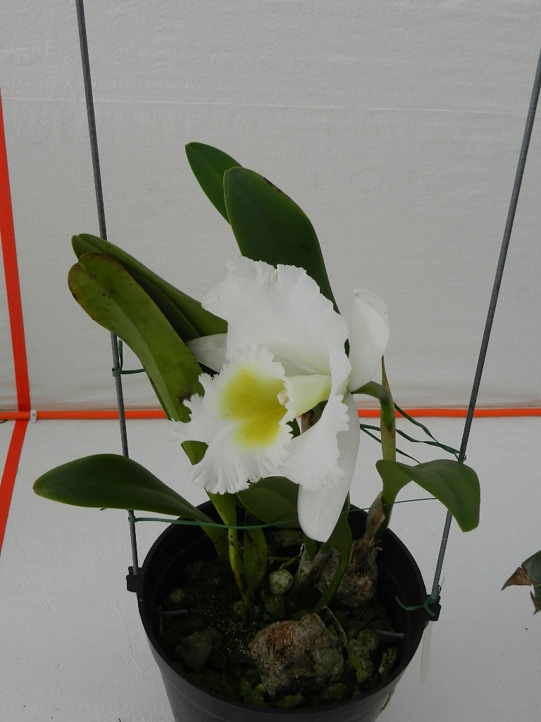 DSCN5672.JPG