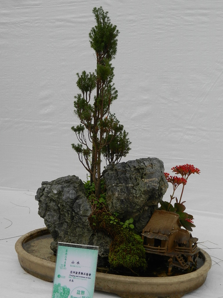 DSCN5627.JPG