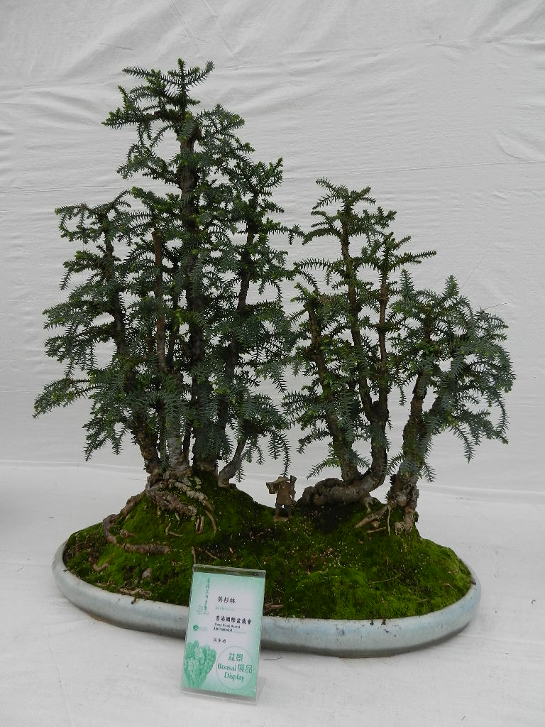 DSCN5628.JPG